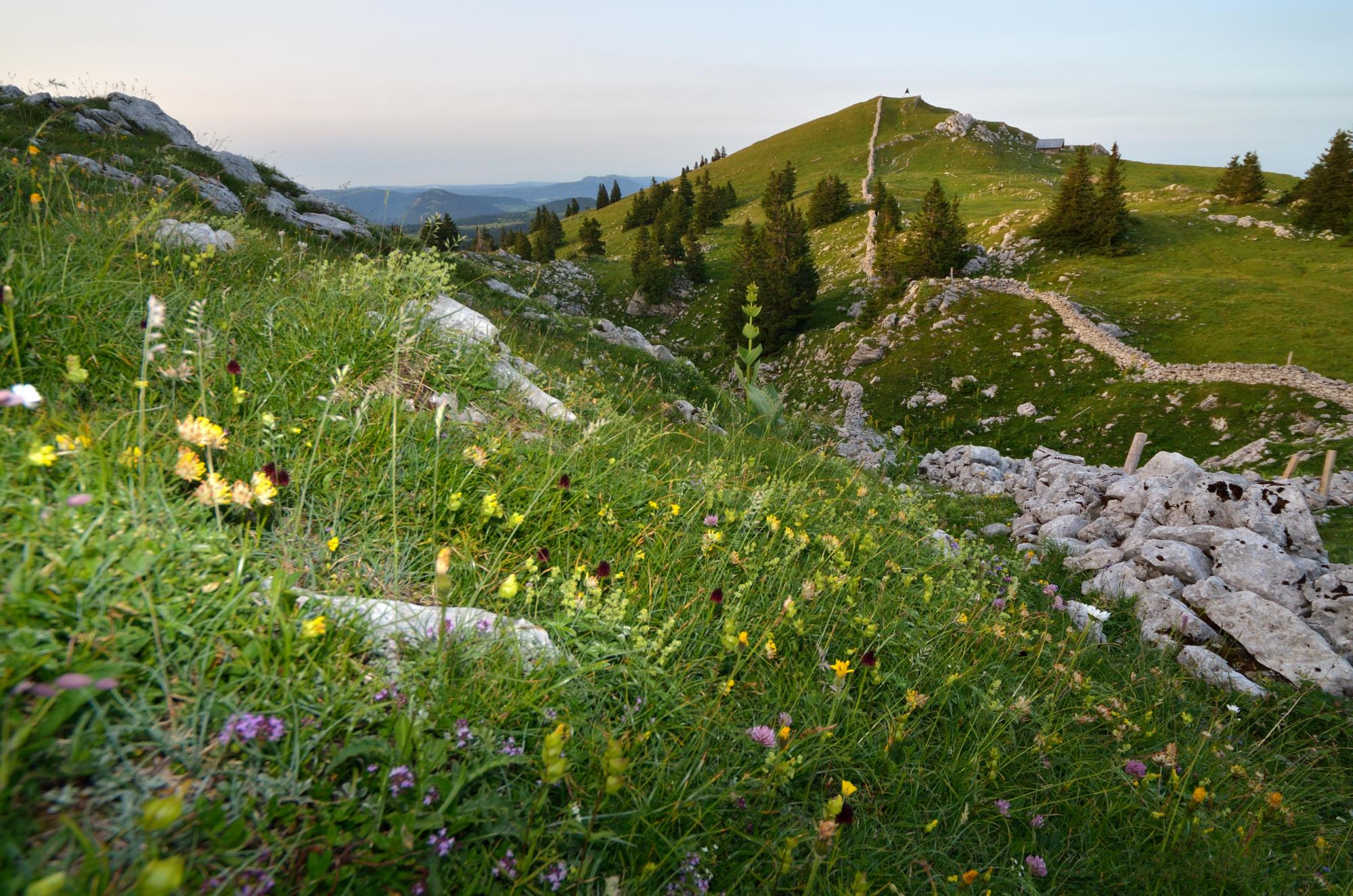 5 - Chemin des Crêtes du Jura