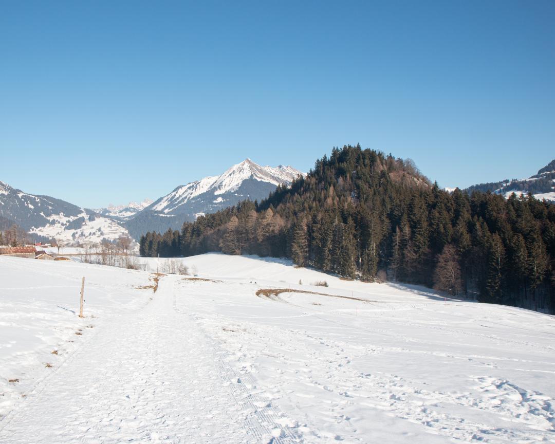 Best winter hikes, Vaud Alps