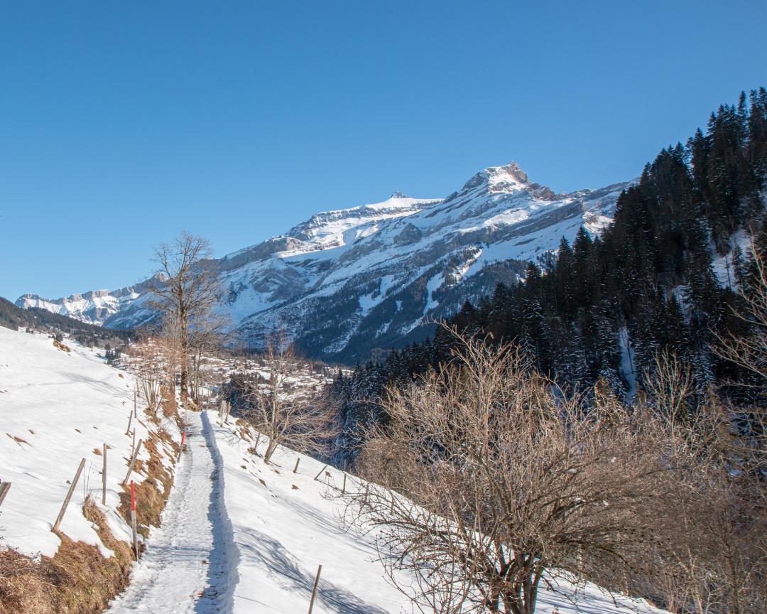 Best winter hikes, Vaud Alps