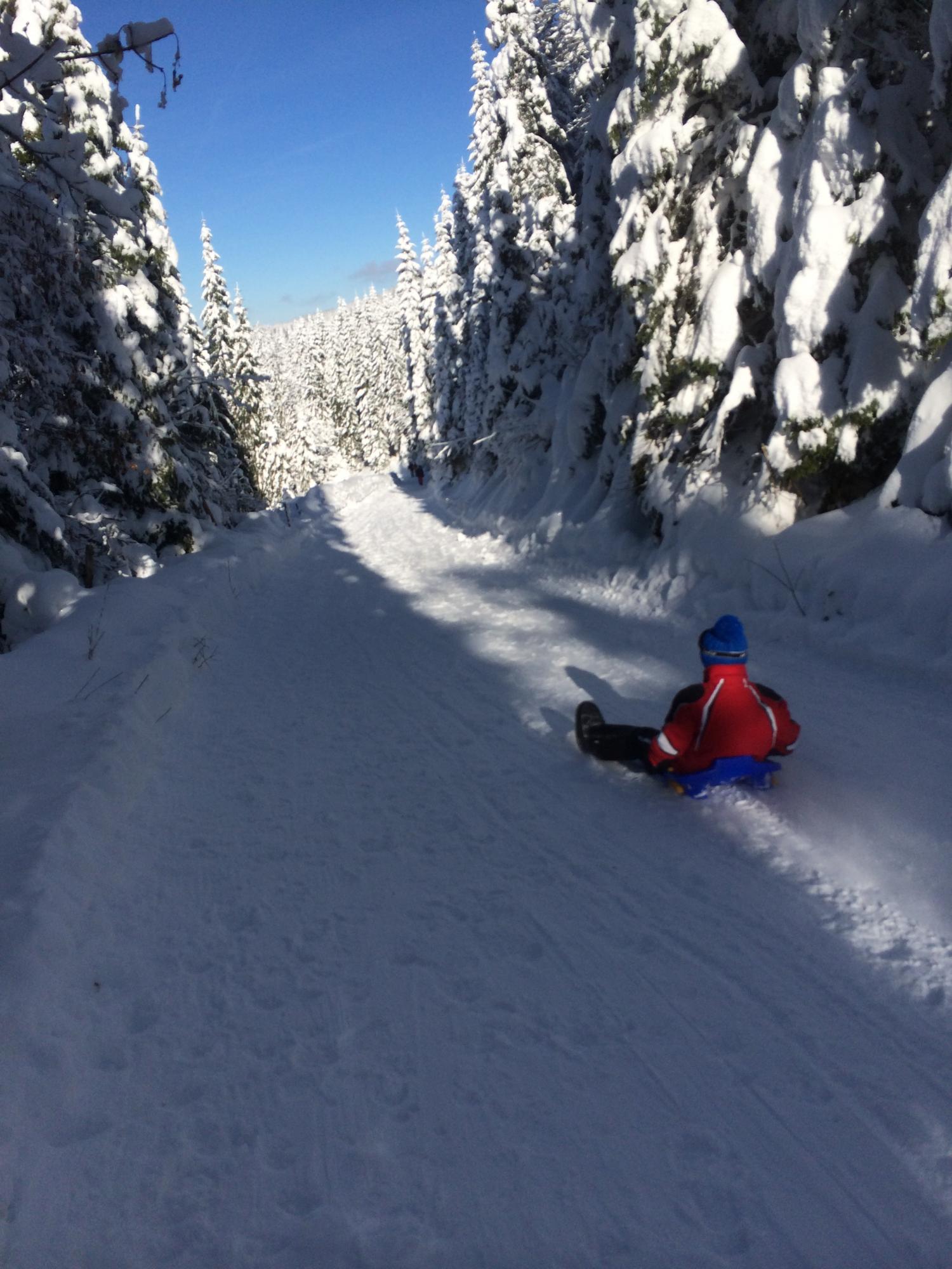 Piste De Luge Du Marchairuz 2 Vallee De Joux Suisse