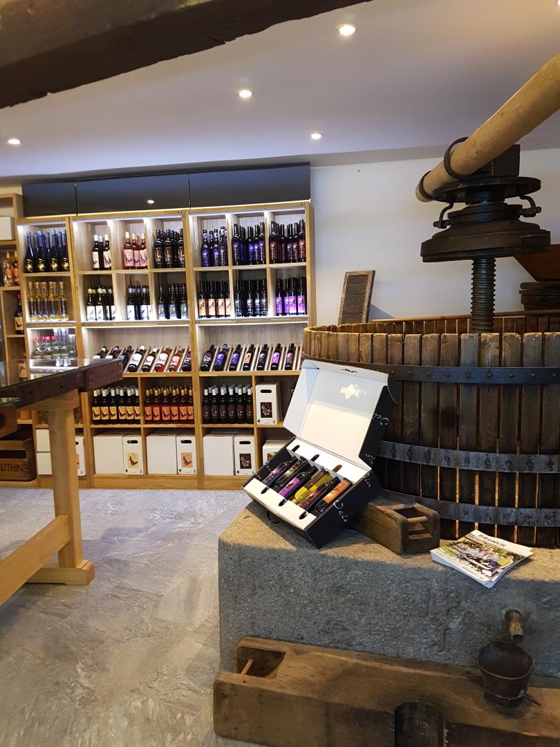 Badan Vins