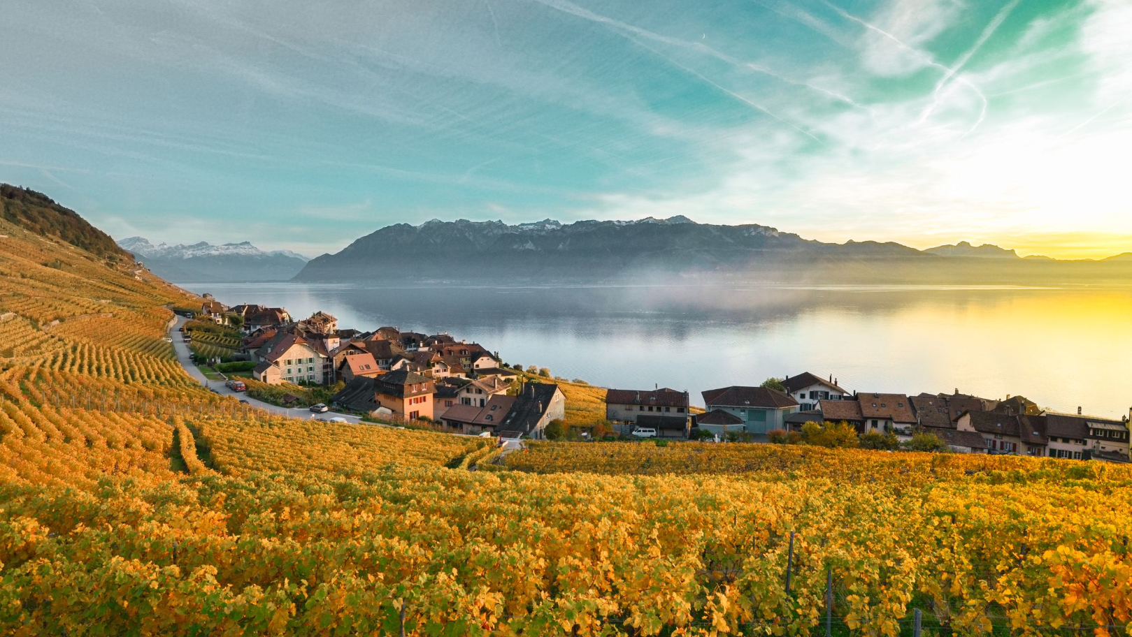 Lavaux