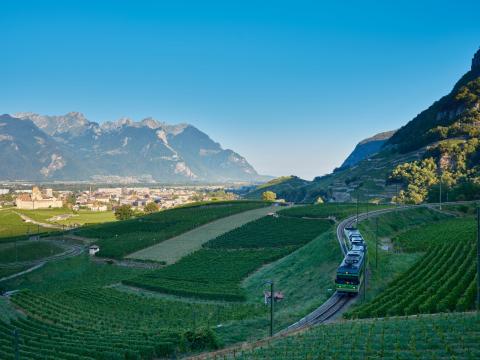 Trains dans les vignes, ville d'Aigle en fond