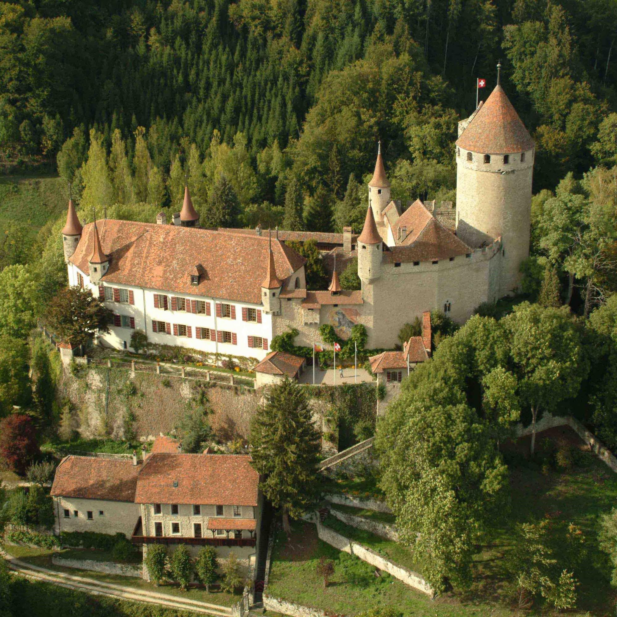 Lucens_Chateau_de_Lucens_003_carre