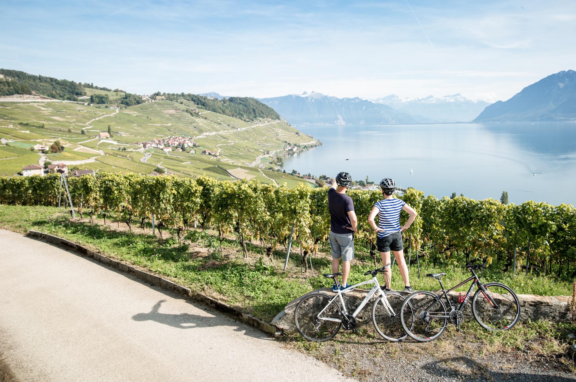 Radrouten in Lavaux