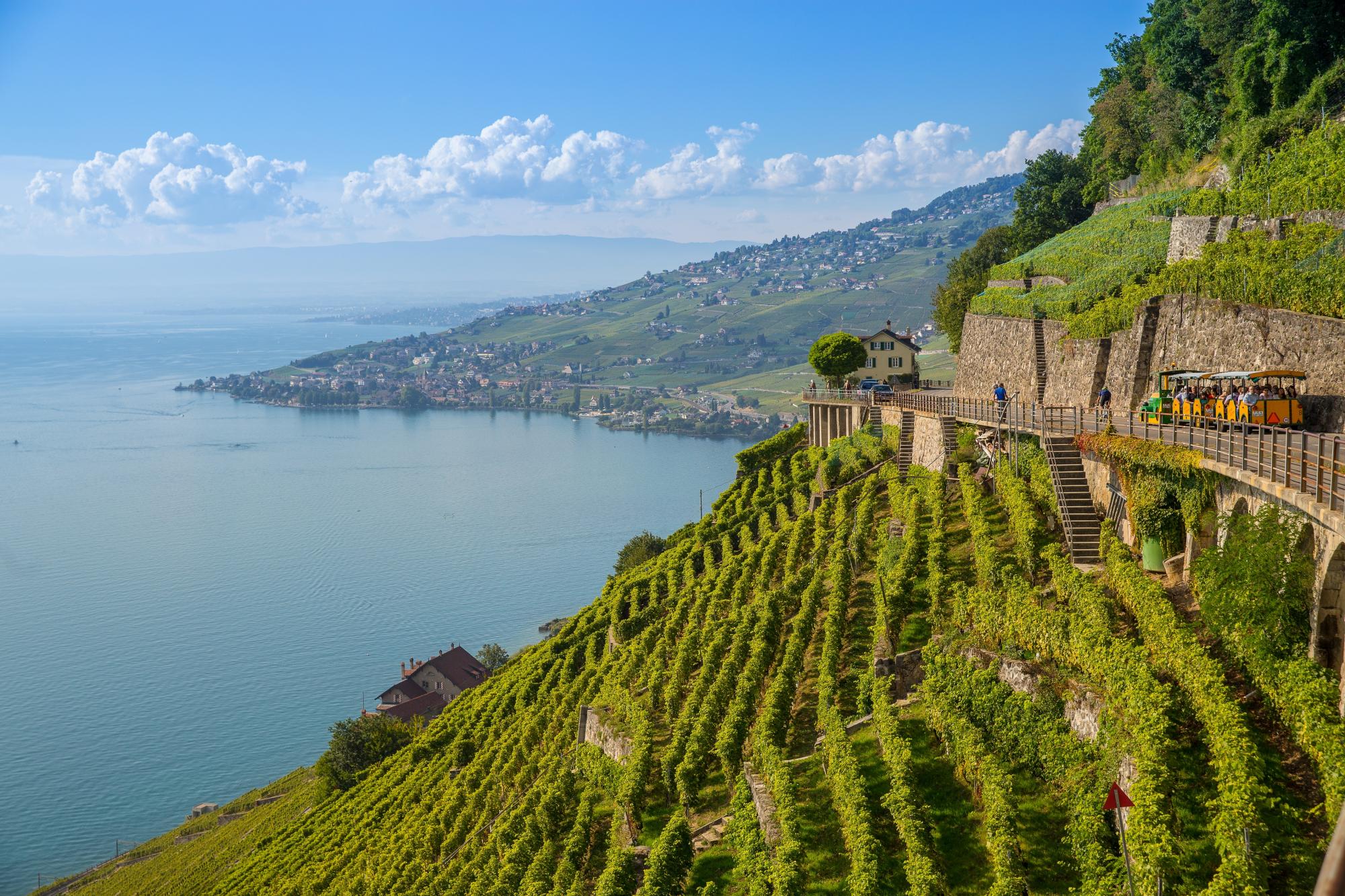 lavaux vineyards visit