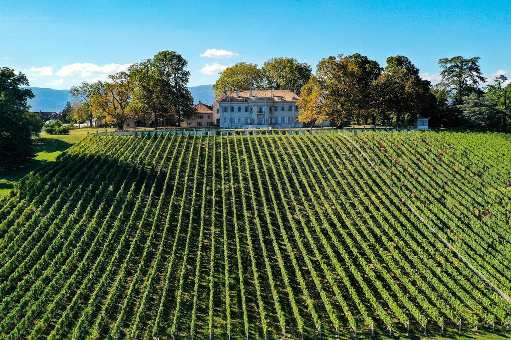 Château de Crans - vue sur montagne et vigne