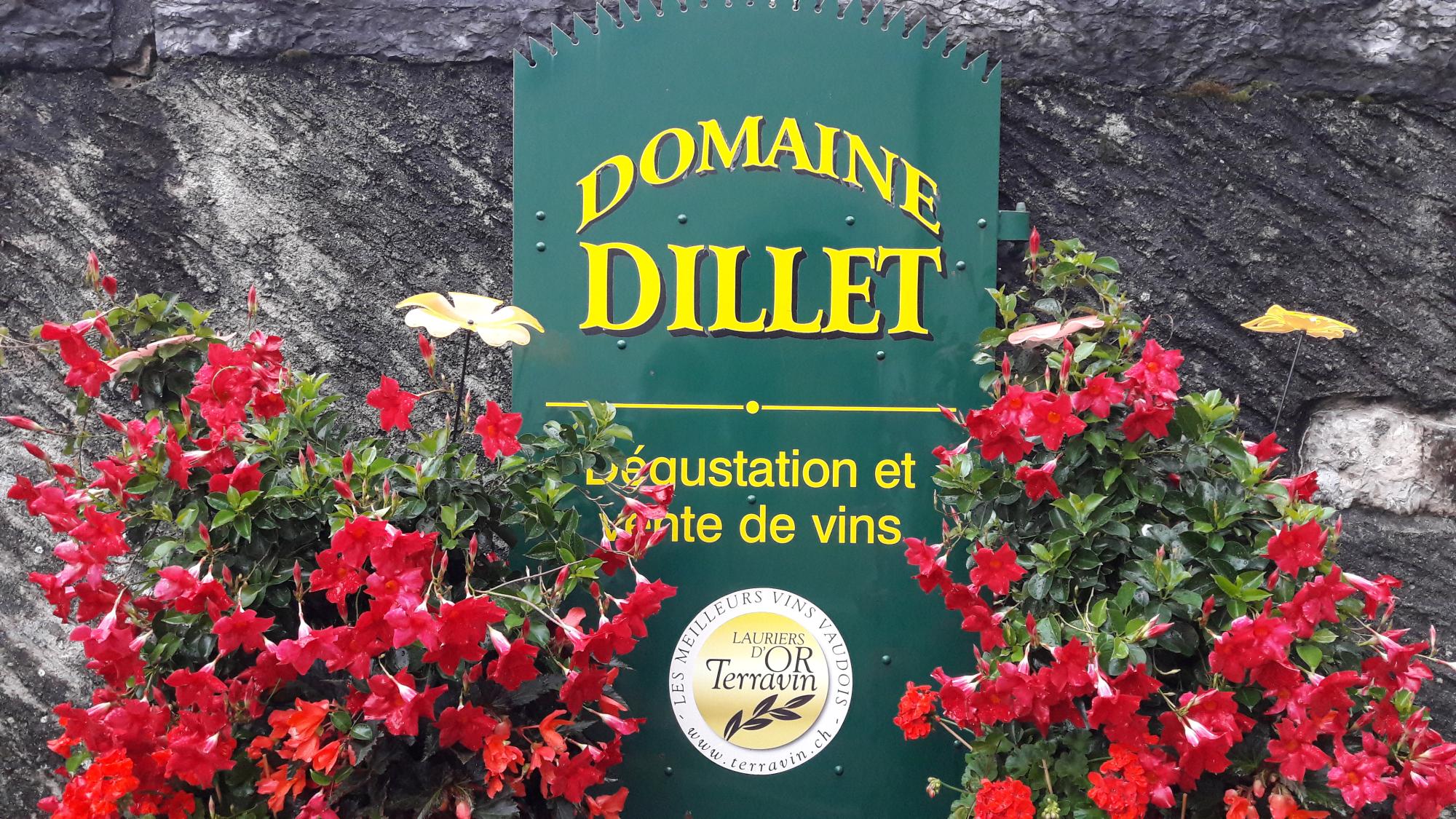 Domaine_Dillet