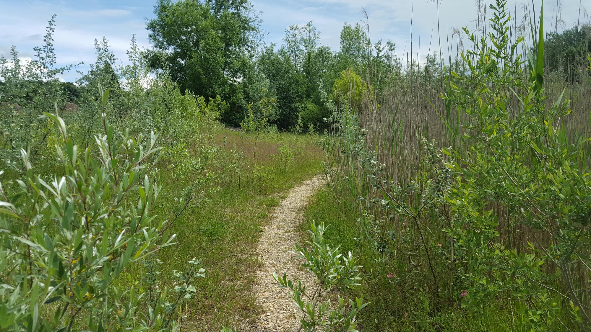 Naturschutzgebiet Chenevières de Guévaux