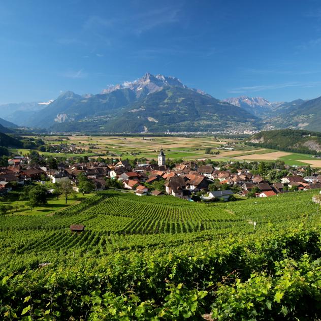 Sentier des vignes | Ollon-Bex