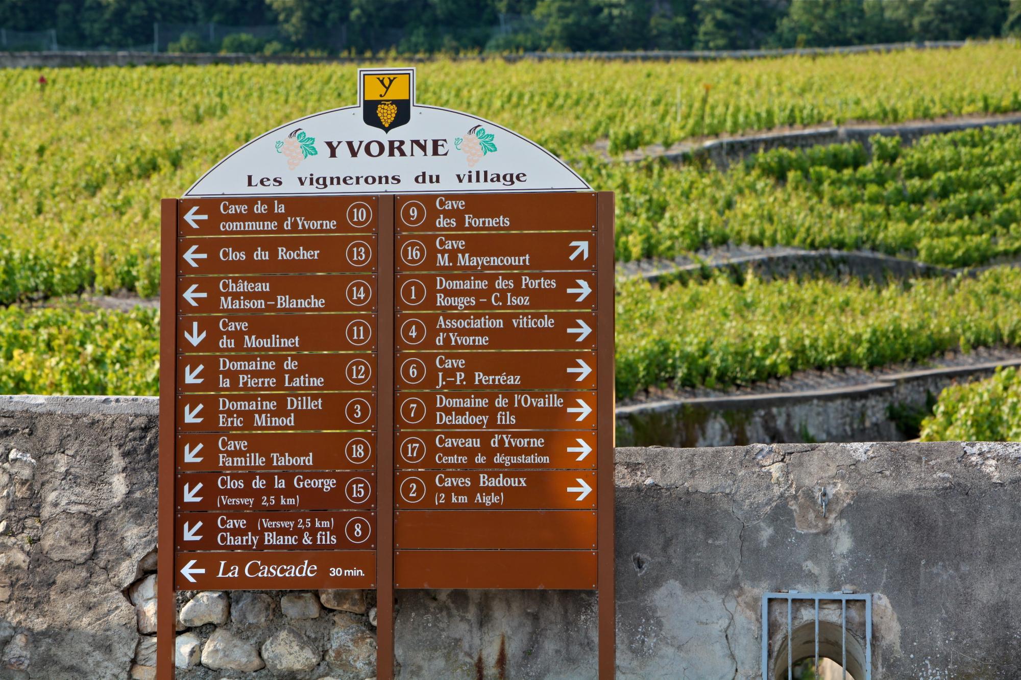 Yvorne - panneau vignerons