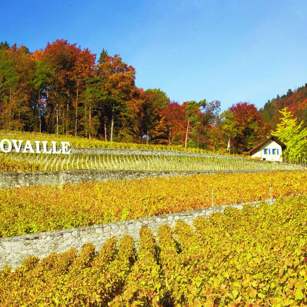 Domaine de l'Ovaille