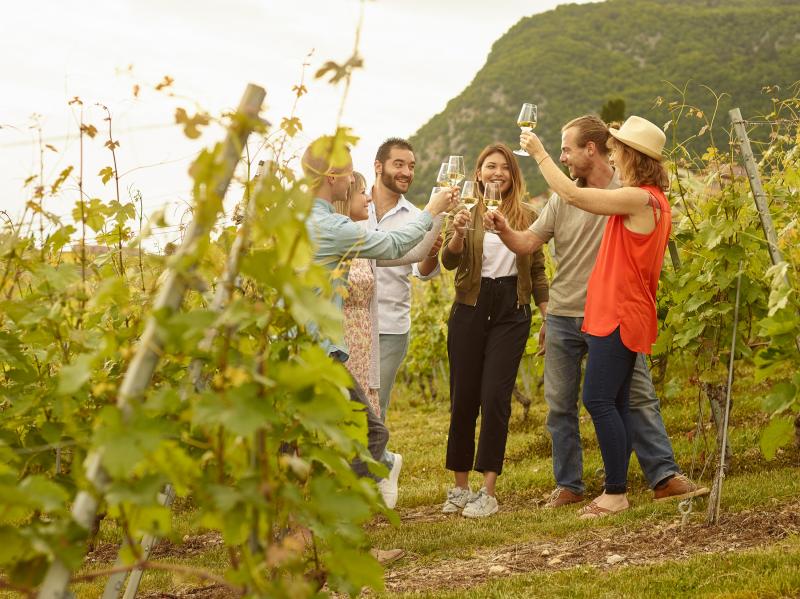 Apéro dans les vignes