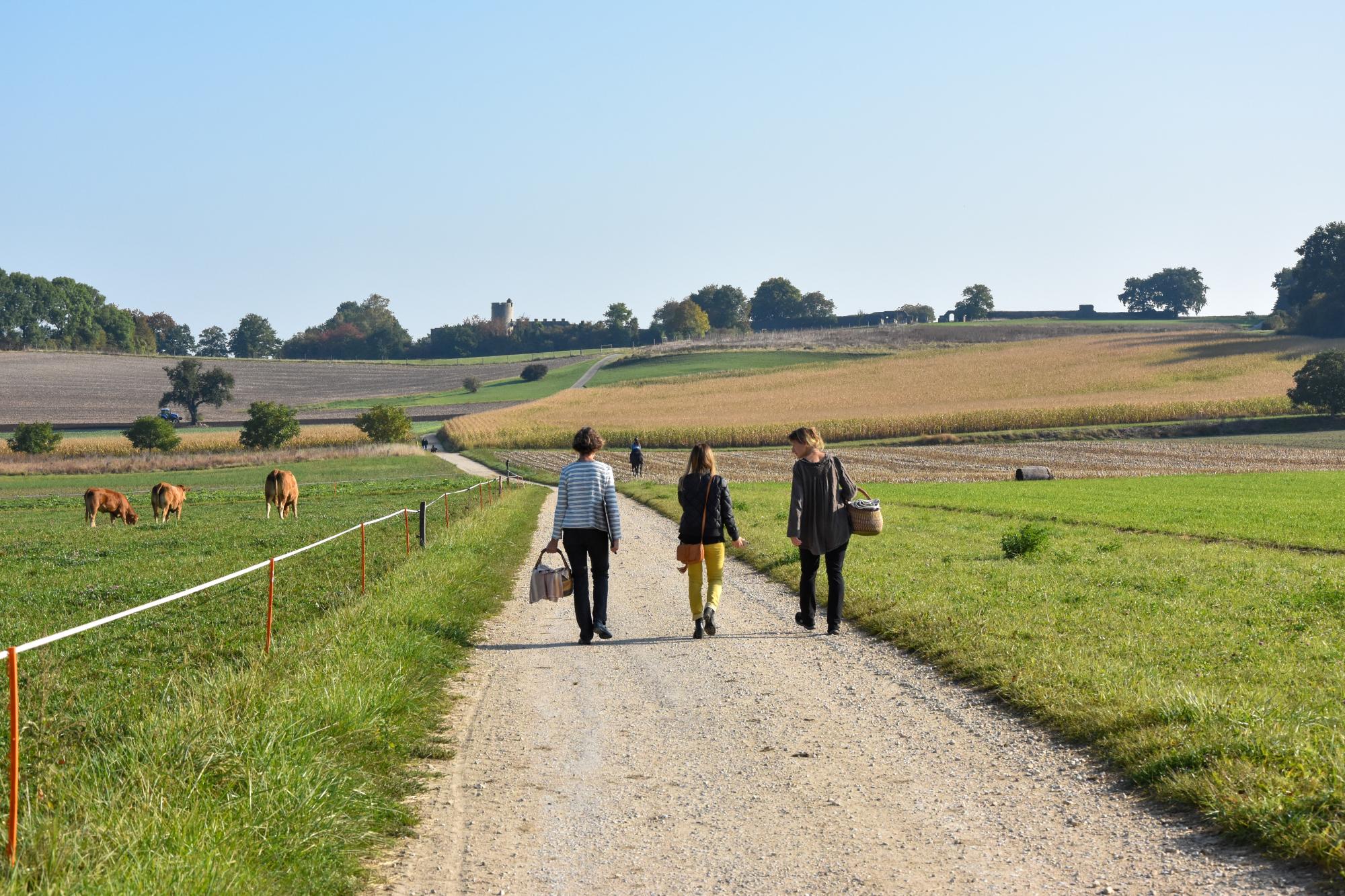 Visites guidées