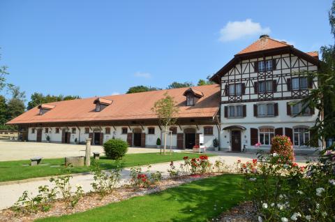 Haras national suisse