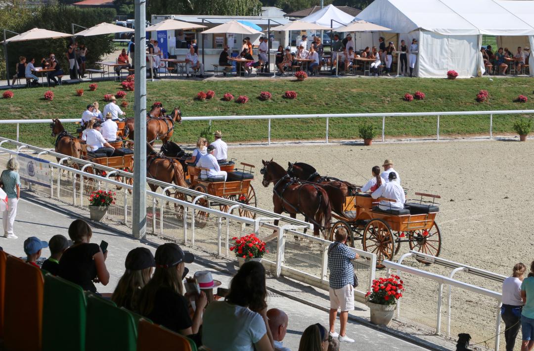 Institut Equestre National Avenches - IENA