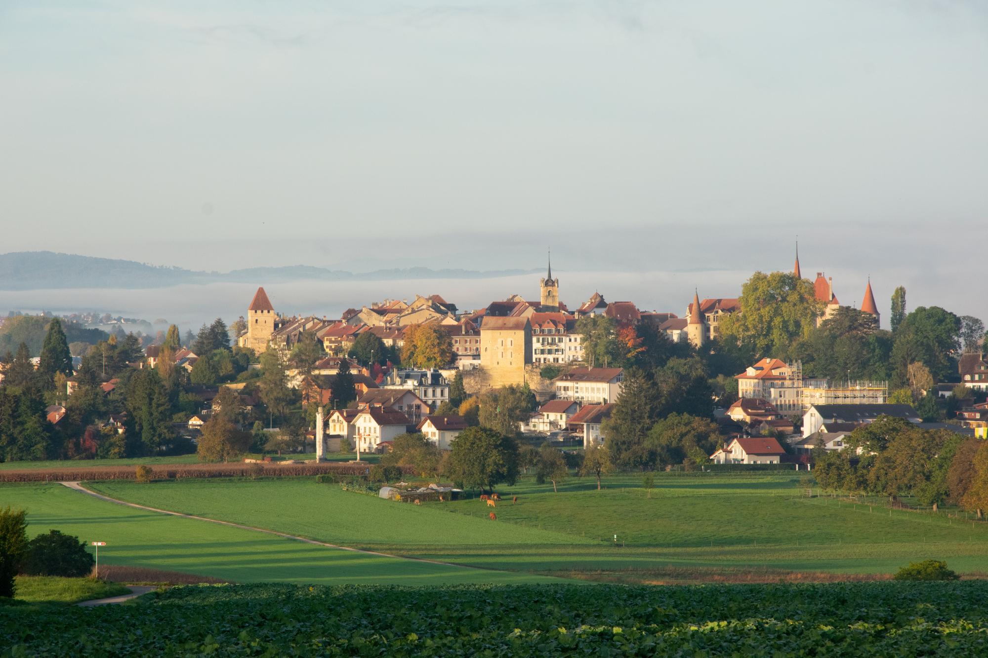 Automne vue