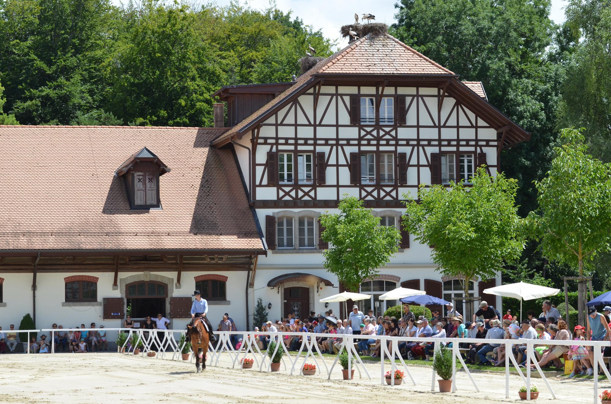 The National Stud Farm, the daily capital of horses