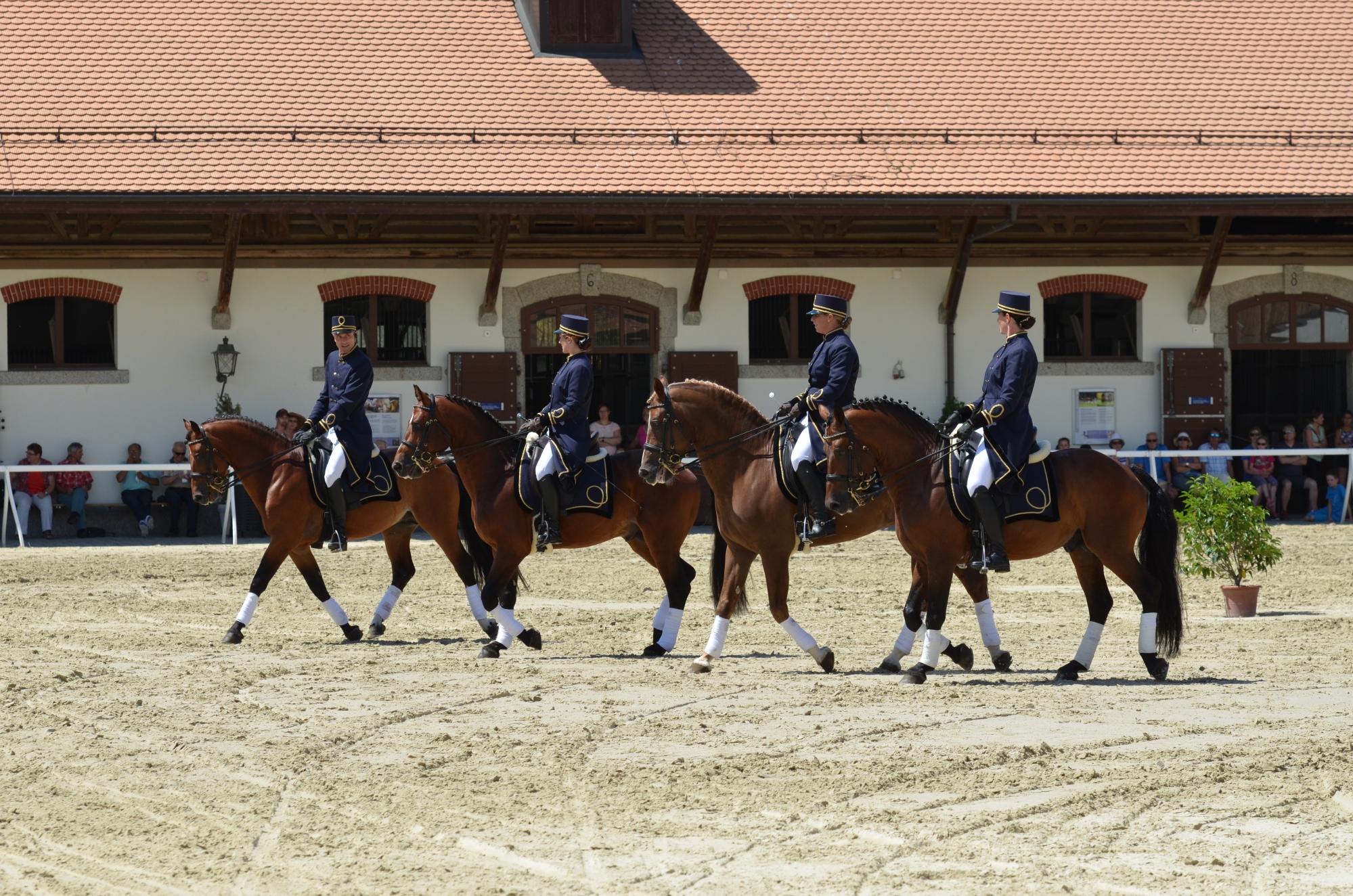 Haras Equus