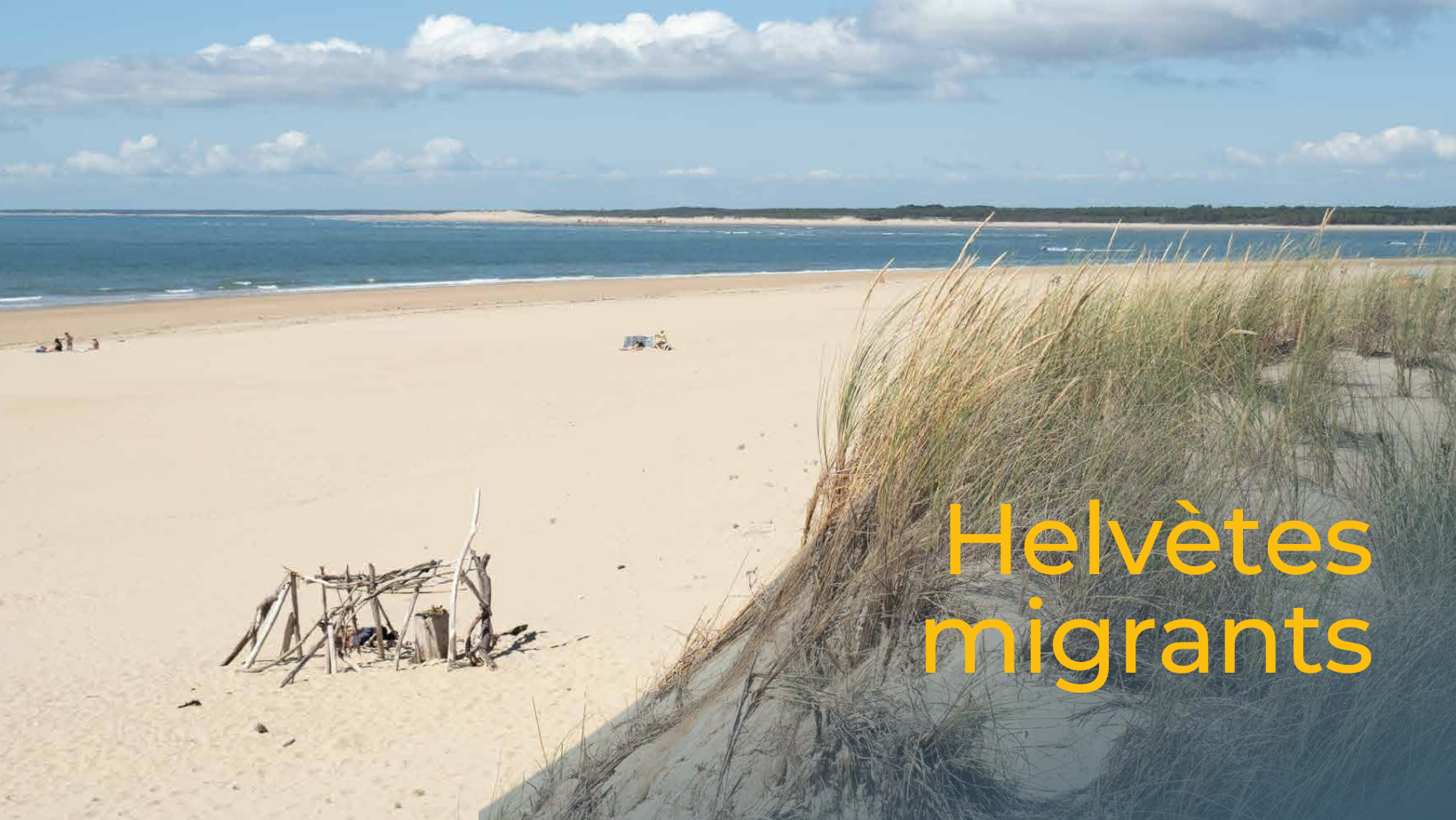 Helvètes migrants