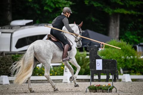 Working Equitation