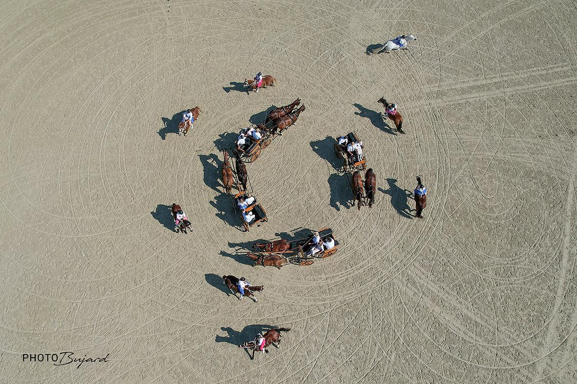 Cheval Passion