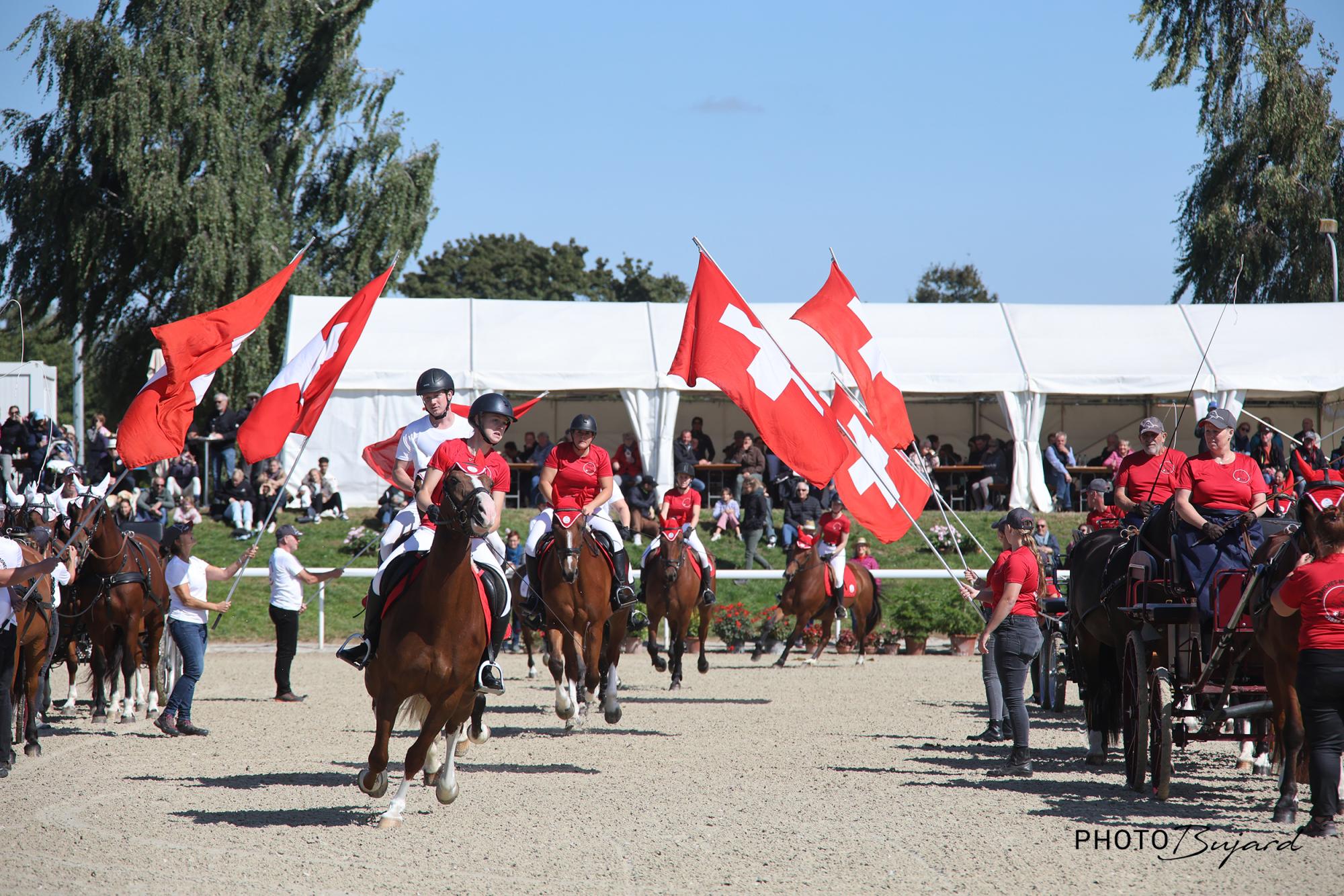 Cheval Passion