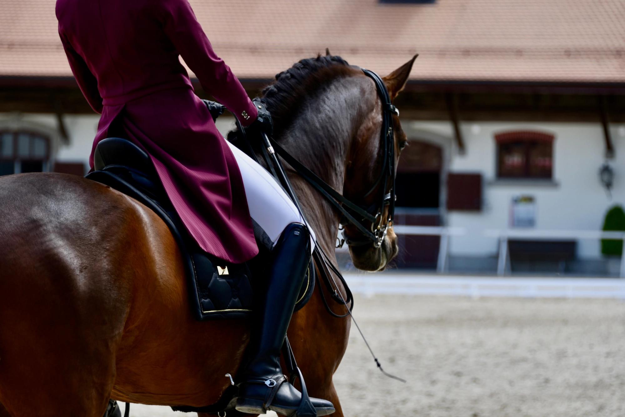 Concours de dressage