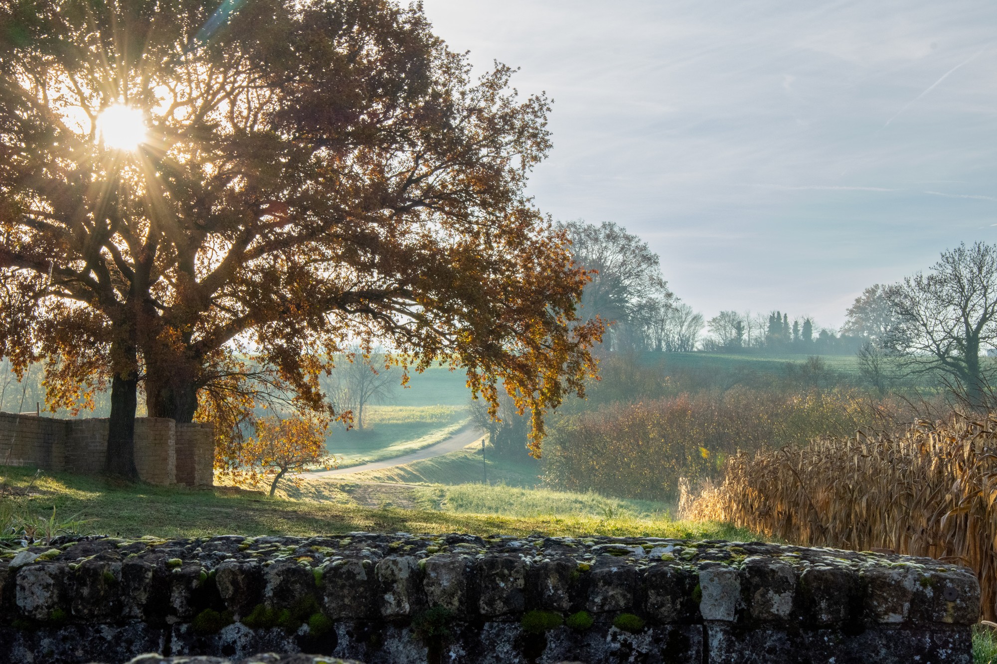 Automne
