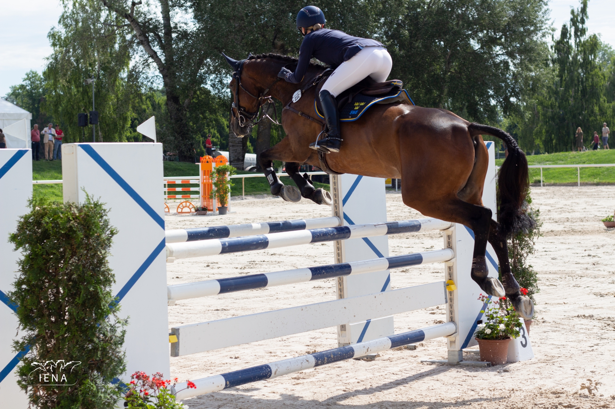 Coupe des Nations FEI - IENA