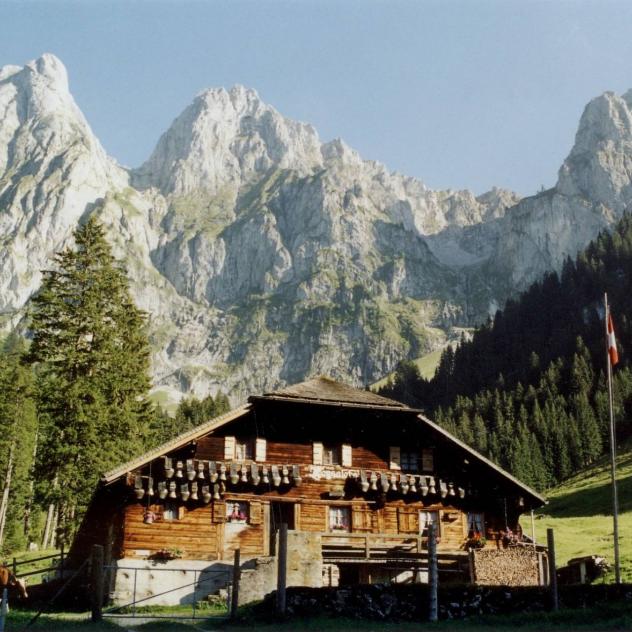 Alpine chalet | Les Leysalets
