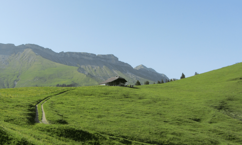 Alpine hut of Belles Combes, south view - Summer - Rougemont - Pays-d'Enhaut Region