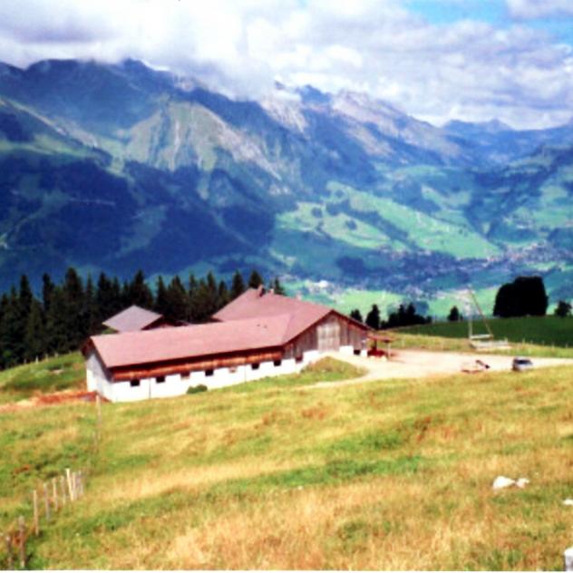Alpenchalet  | Le Rodovanel
