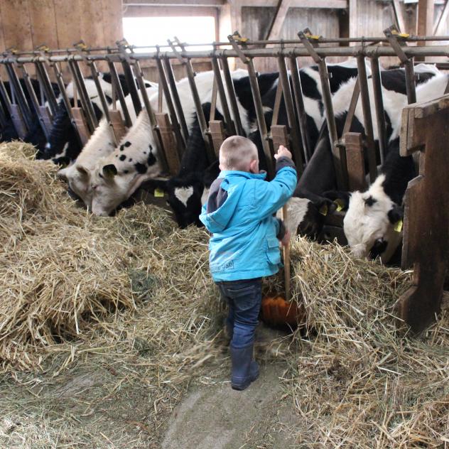 Goûter et visite à la ferme du Berceau