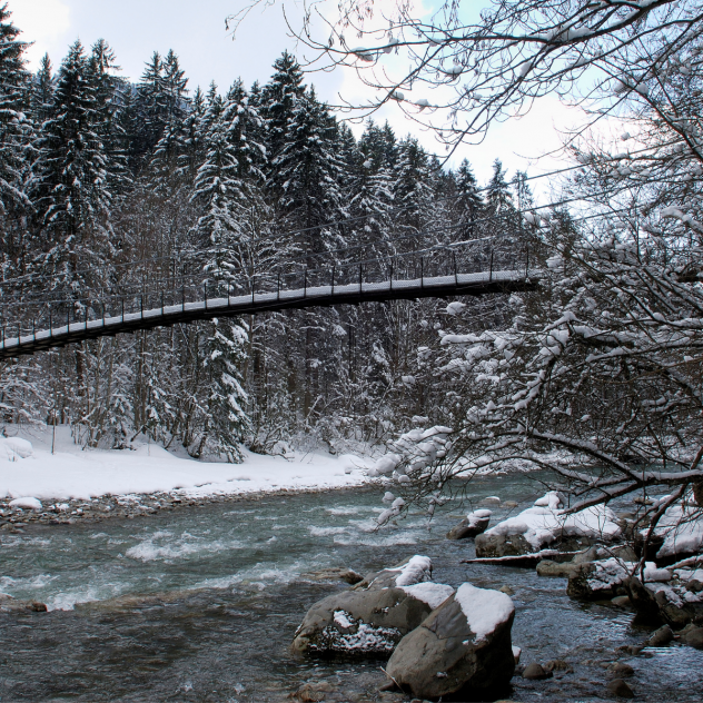 Turrian Bridge snowshoe loop