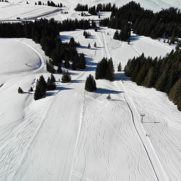 Remontées mécaniques de Leysin, Les Mosses, La Lécherette (TLML)