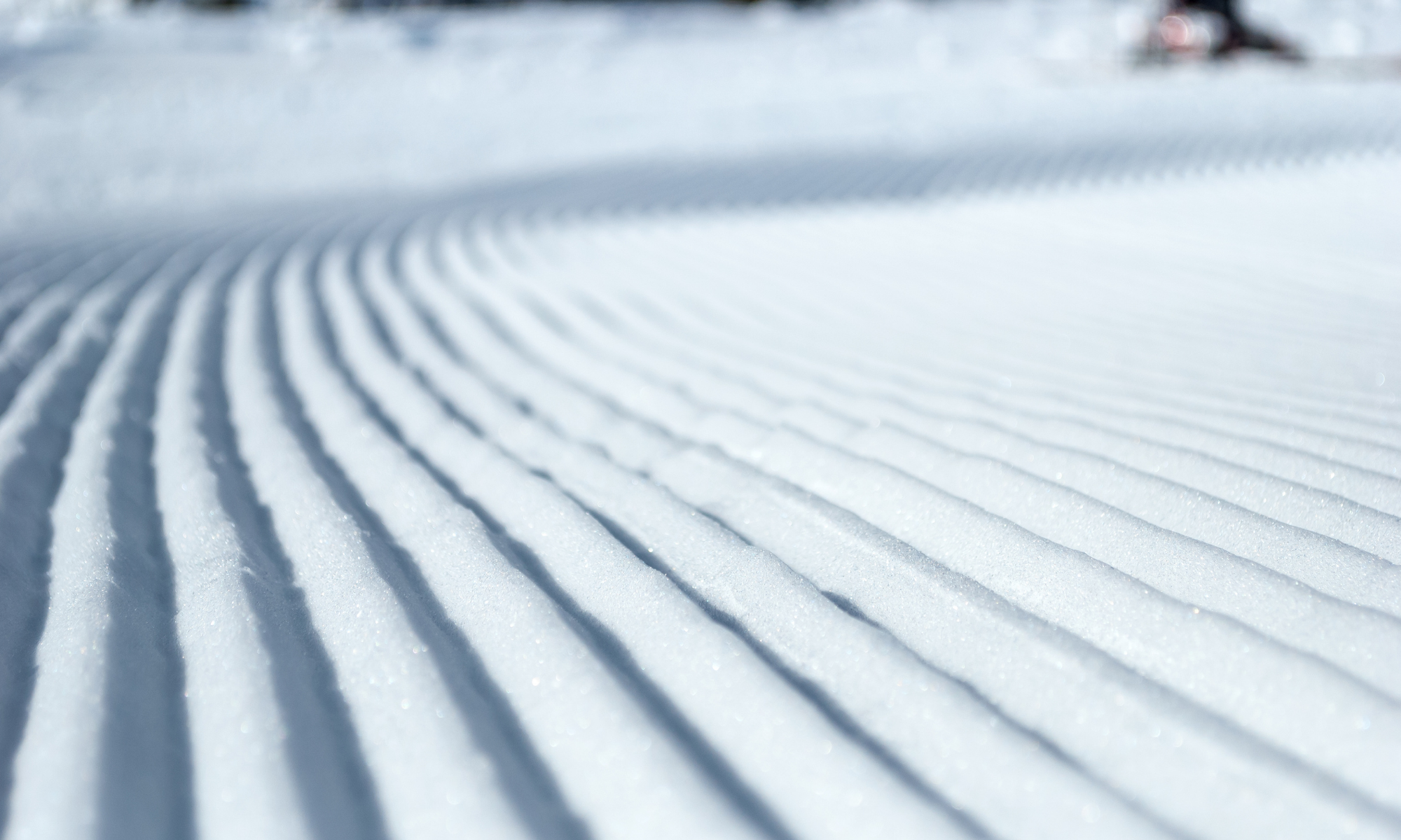 Winterspaziergänge verschneite Barriere und Baum - Winter - Rougemont - kein Copyright