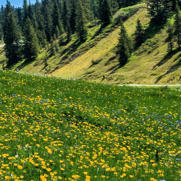 Mittelberg, hidden beauty