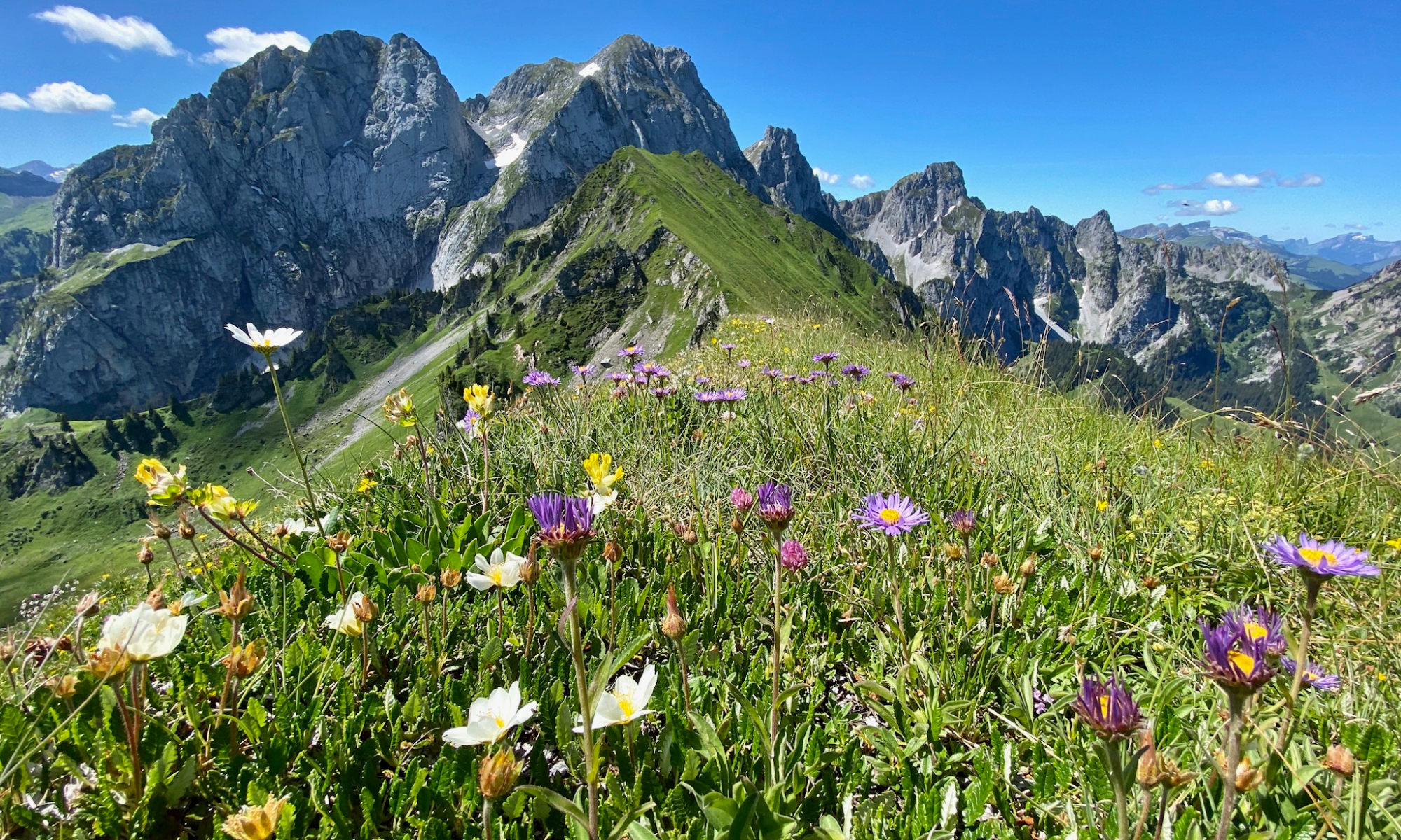 Summer hikes in the Pays-d'Enhaut