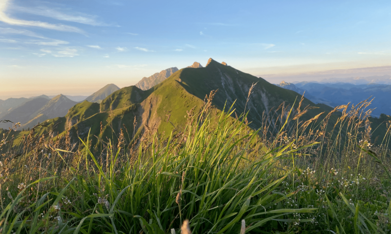 View from the Pointe de Cray summit - Summer - Château-d'Œx - Alice Jaquillard