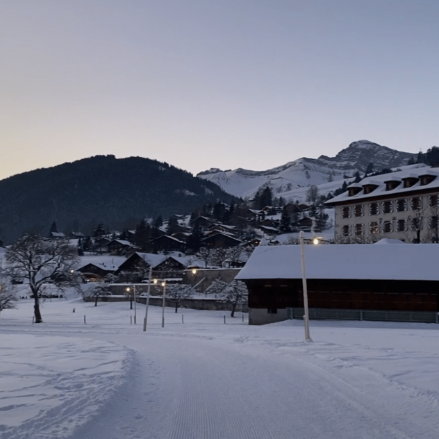 Winter walk around the castle