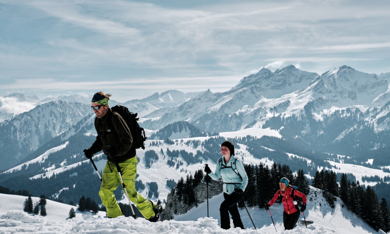 Ski touring