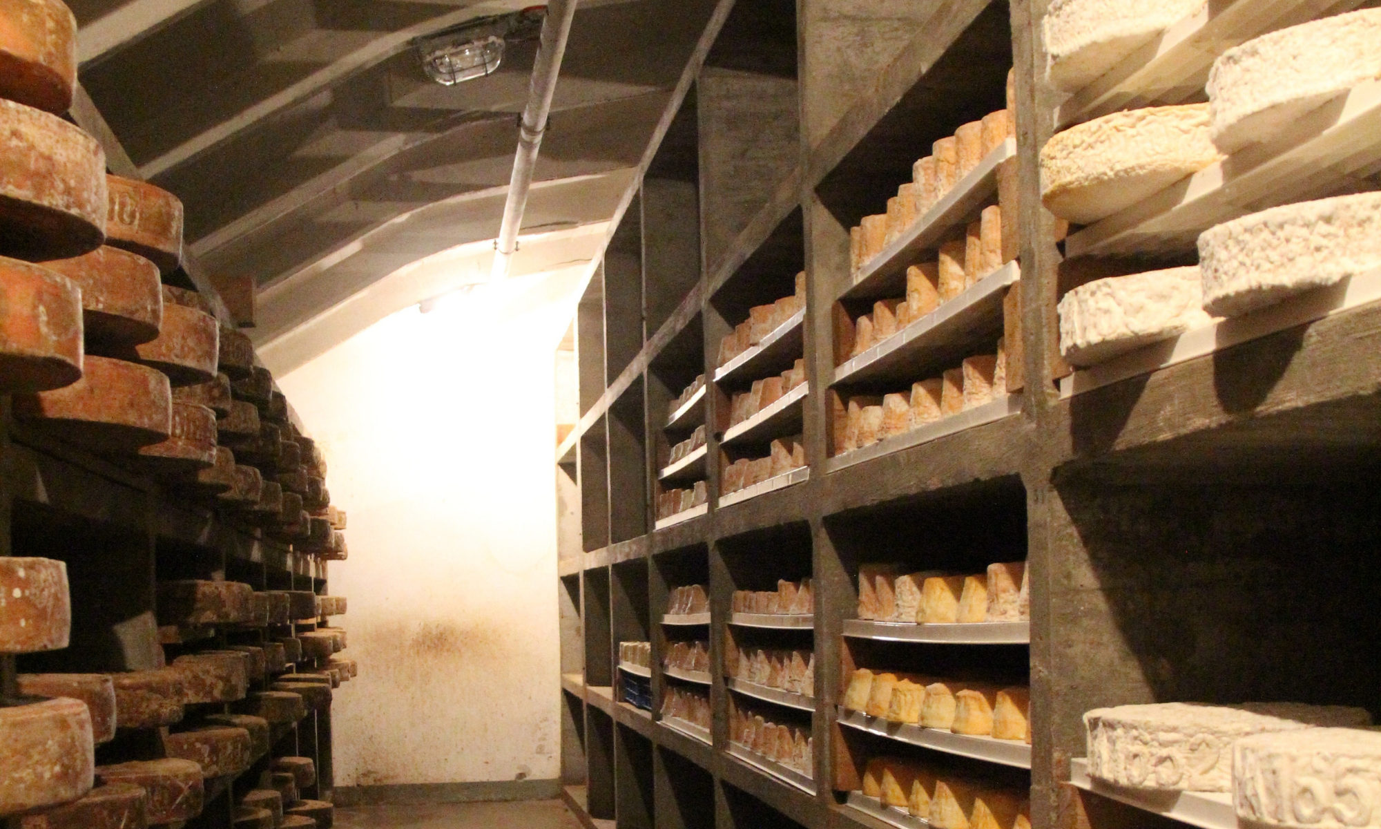 Forts de la tine - Cheese maturing - Book 111 places in the Vaud Alps - Pays-d'Enhaut - no season - Marc Voltenauer & Benjamin Amiguet