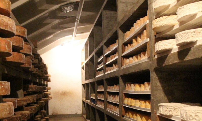 Forts de la tine - Affinage des fromages - Livre 111 lieux des Alpes vaudoises - Pays-d'Enhaut - pas de saison - Marc Voltenauer & Benjamin Amiguet