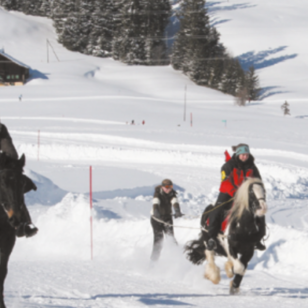 Skijöring à Château-d’Oex