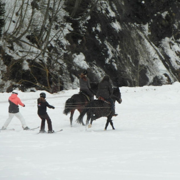 Ski jöring in Château-d'Œx