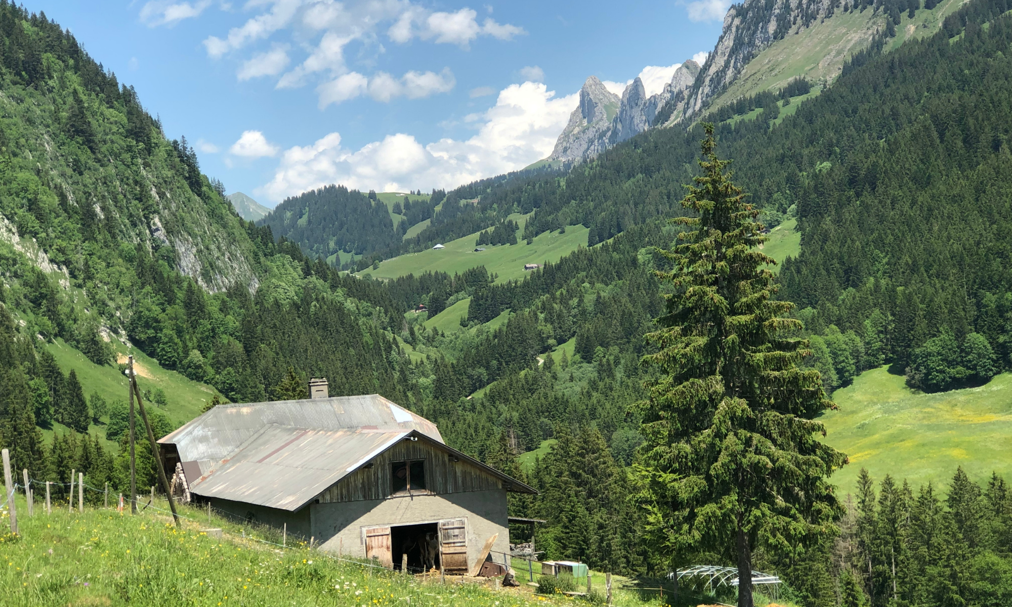 Pays-d'Enhaut Région