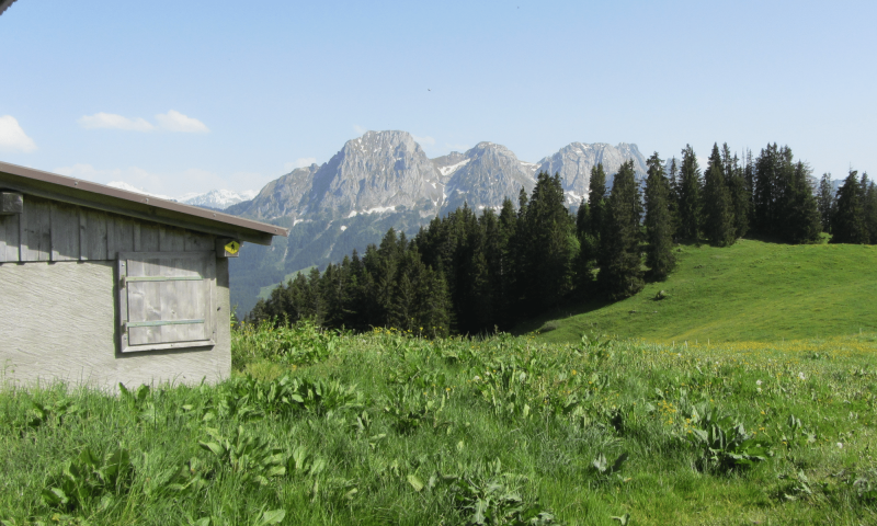 Alpine hut of Belles Combes north view with Rubli - Summer - Rougemont - Pays-d'Enhaut Region