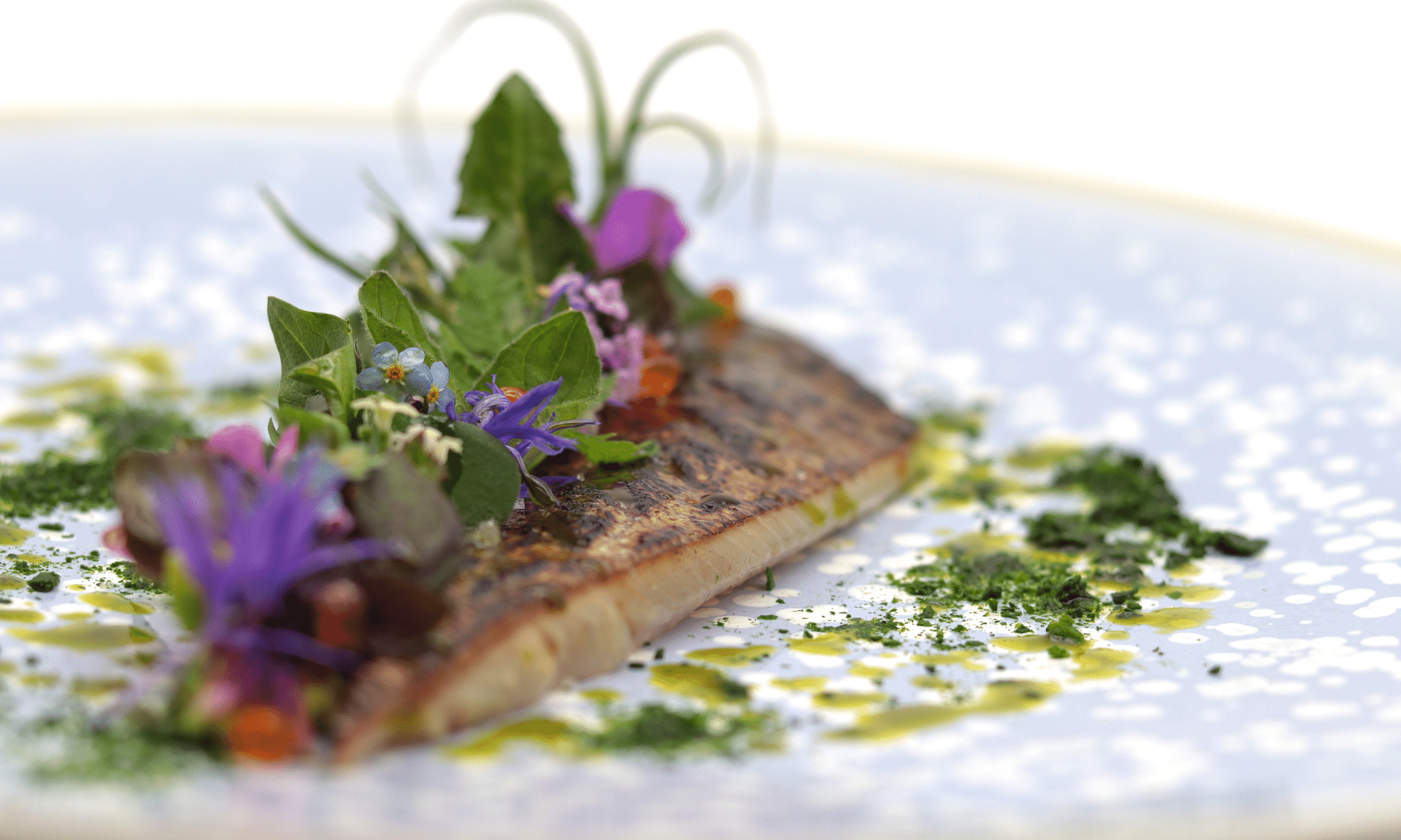 Gastronomic dish from the Valrose Restaurant Table - not in season - Rougemont - Valrose