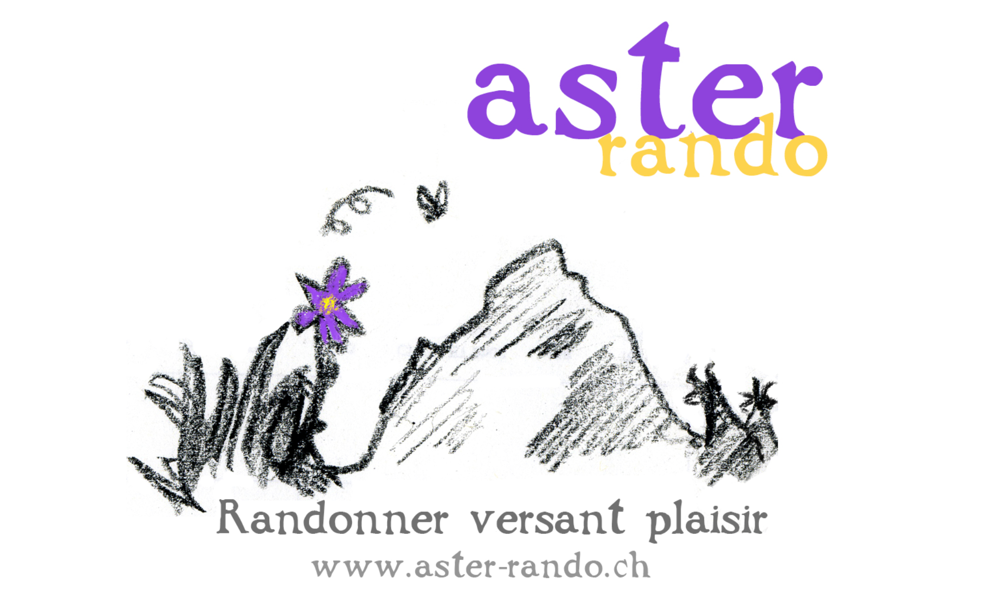 Aster Rando